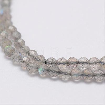 Natural Larvikite Beads Strands G-E349-01-1
