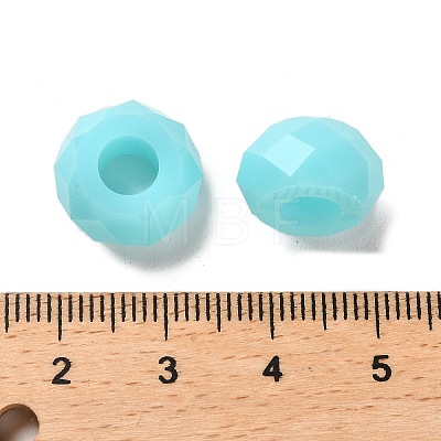 Resin European Beads RESI-B020-06C-1