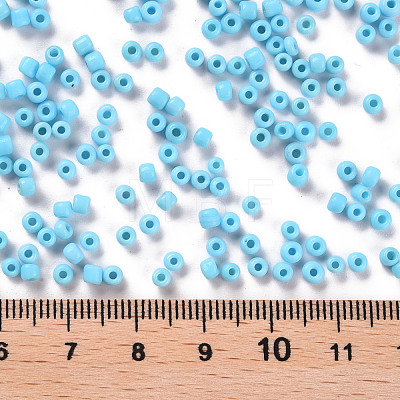 8/0 Glass Seed Beads X1-SEED-A010-3mm-43-1