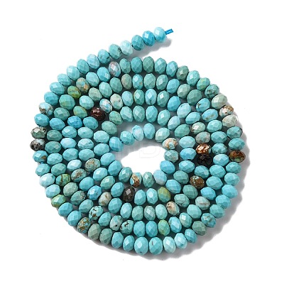 Natural Howlite Beads Strands G-H025-03B-01-1