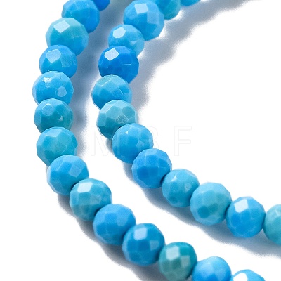 Natural Howlite Beads Strands G-C025-02A-05-1