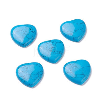Synthetic Turquoise Cabochons G-P021-11-1