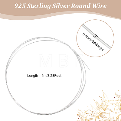 1M 925 Sterling Silver Wire STER-BBC0002-12-1