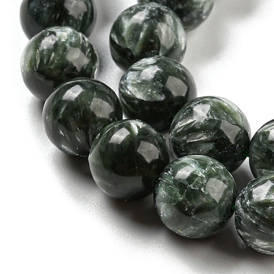 Natural Seraphinite Beads Strands G-E557-22C-01-1