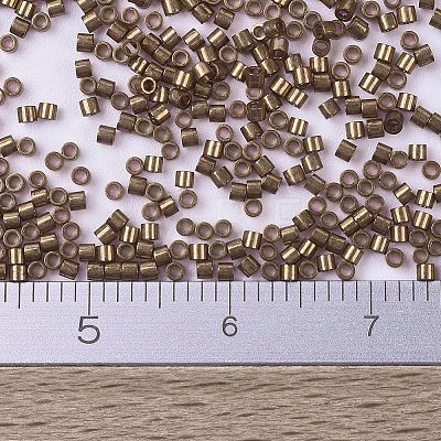 MIYUKI Delica Beads Small X-SEED-J020-DBS0115-1