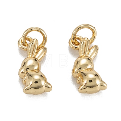 Brass Charms KK-C223-14-1