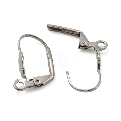 Non-Tarnish 304 Stainless Steel Leverback Earring Findings STAS-P360-02C-P-1