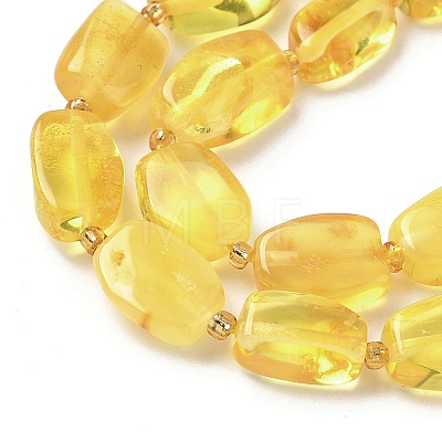 Natural Amber Beads Strands G-L095-C01-02-1