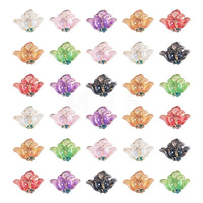 50Pcs Translucent Resin Cabochons RESI-TA0005-66-1