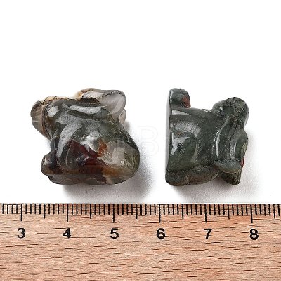 Natural Bloodstone Carved Figurines DJEW-L023-E04-1