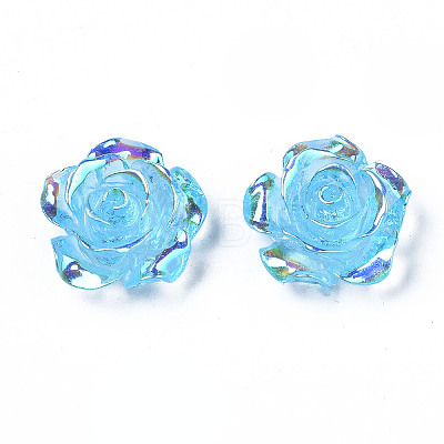 Transparent Resin Cabochons LS-CRES-N030-001B-02-1