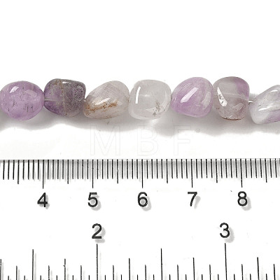 Natural Amethyst Beads Strands G-B078-D12-01-1