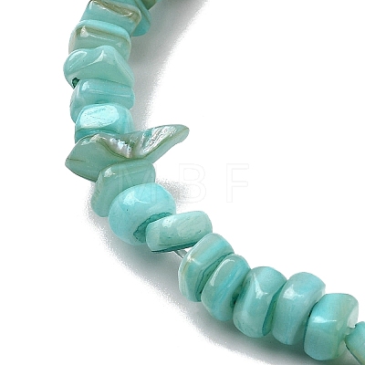 Natural Freshwater Shell Beads SHEL-B003-01B-1