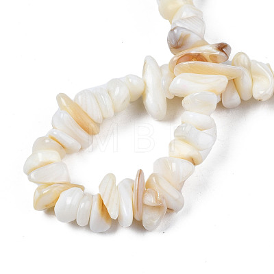 Natural Trochid Shell/Trochus Shell Beads Strands SHEL-S258-080-A01-1