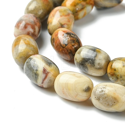 Barrel Shaped Gemstone Natural Crazy Lace Agate Beads Strands G-S114-08-1