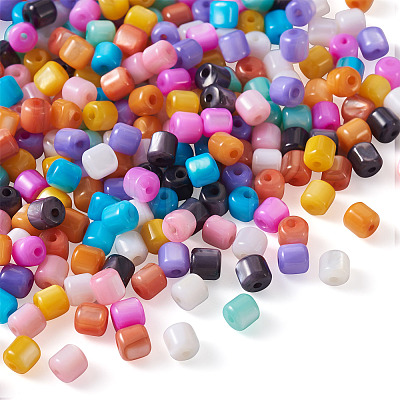 300Pcs 10 Colors Natural Freshwater Shell Beads SHEL-TA0001-06-1