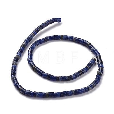 Natural Sodalite Beads Strands G-P468-19-1