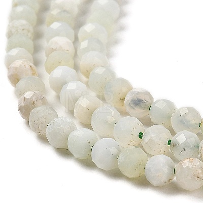 Natural Green Opal Beads Strands G-Z035-A02-03B-1