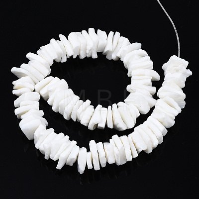 Natural White Shell Beads Strands X-SSHEL-S266-029-1
