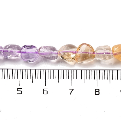 Natural Amethyst & Citrine Beads Strands G-L610-B06-01-1