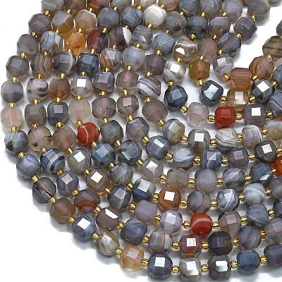 Natural Botswana Agate Beads Strands G-K389-A66-01-1