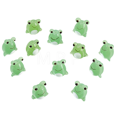 12Pcs Handmade Lampwork Beads LAMP-DR0001-03-1