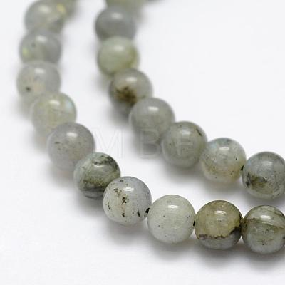 Natural Labradorite Beads Strands G-P322-29-6mm-1