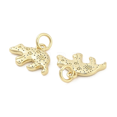 Brass Charms KK-H527-07B-G-1