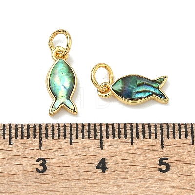 Natural Paua Shell Fish Charms KK-F926-04A-1