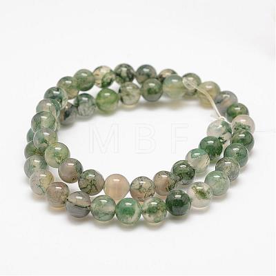 Natural Moss Agate Beads Strands G-F453-8mm-1