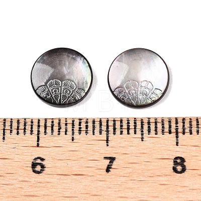 Natural Black Lip Shell Carved Cabochons SSHEL-T017-04D-1