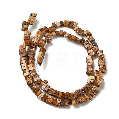 Natural Picture Jasper Beads Strands G-Z045-A09-01-1