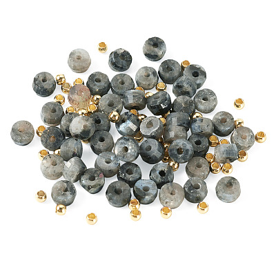 50Pcs Natural Larvikite Beads G-TAD0001-13-1