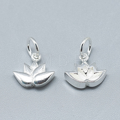 925 Sterling Silver Charms STER-T002-117S-1