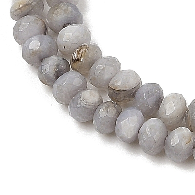 Natural Freshwater Shell Dyed Beads Strands SHEL-R100-13A-04-1