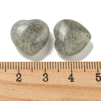 Natural Labradorite Beads G-P531-A13-01-1