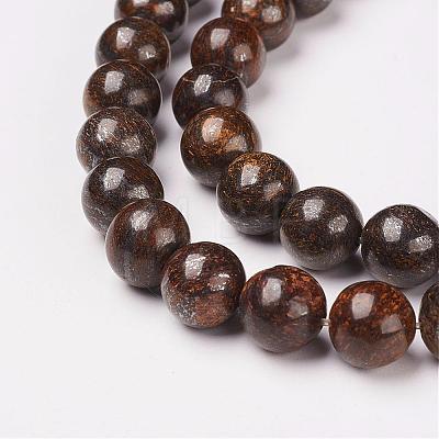 Natural Bronzite Beads Strands G-D169-01-10mm-1