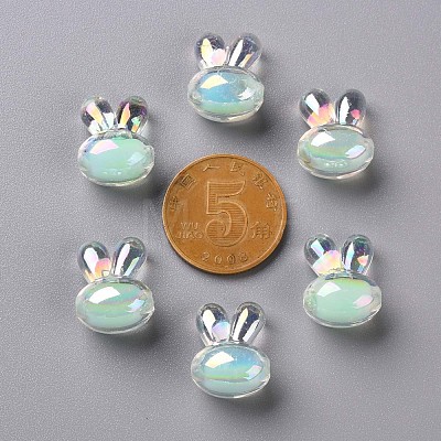 Transparent Acrylic Beads TACR-S152-05B-SS2111-1