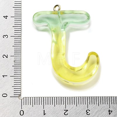 Resin Pendant FIND-Q107-01J-02-1