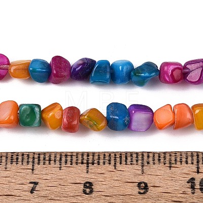 Natural Freshwater Shell Beads Strands SHEL-N037-04B-1