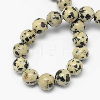 Natural Dalmatian Jasper Stone Bead Strands X-G-R193-14-4mm-1