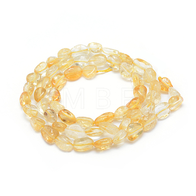 Natural Citrine Beads Strands X-G-P331-03A-1