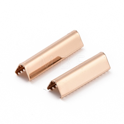 Brass Ribbon Crimp Ends KK-WH0034-52KCG-02-1