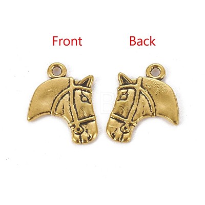 Tibetan Style Alloy Pendants GLF10908Y-NF-1