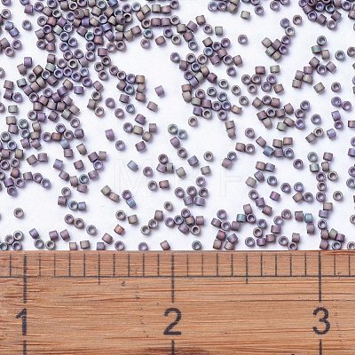 MIYUKI Delica Beads SEED-X0054-DB1067-1