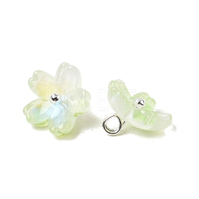 Glass Charms GLAA-G127-05B-1