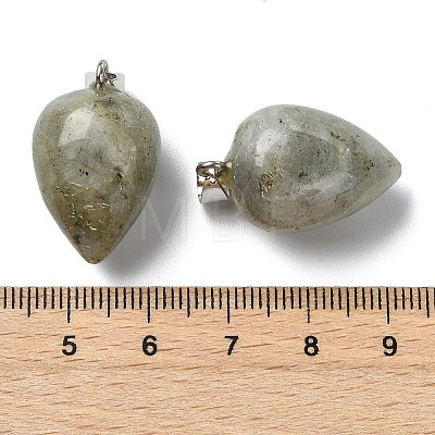 Natural Labradorite Pendants GG-K002-13M-1