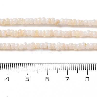 Natural Freshwater Shell Beads Strands X-SHEL-P017-01B-02-1