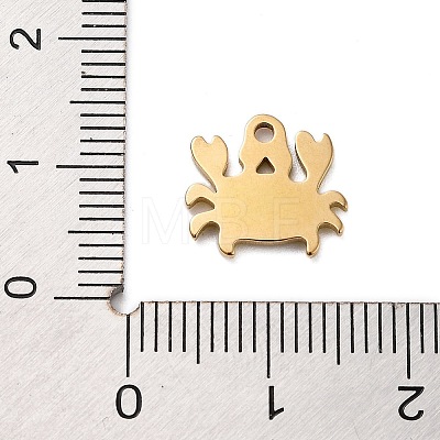 Ion Plating(IP) 201 Stainless Steel Charms STAS-A101-01A-05G-1