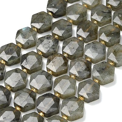 Natural Gray Labradorite Beads Strands G-L660-A02-01-1